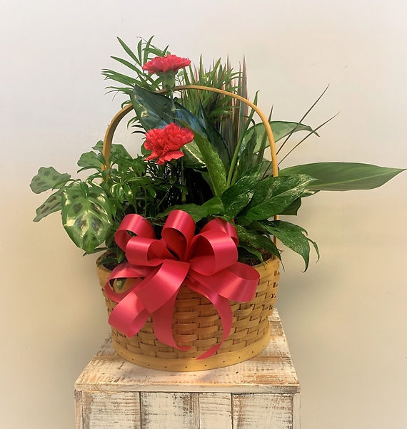 Planter Basket $75.95