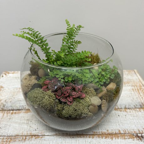 Terrarium