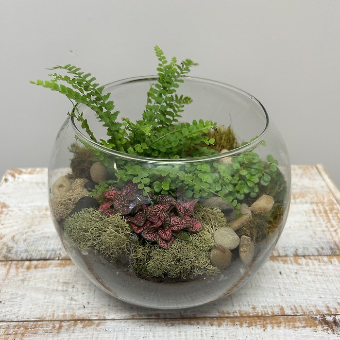 Terrarium