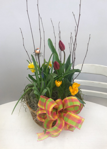 Bulb Basket - $45