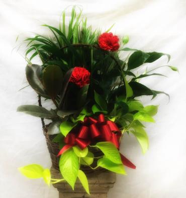 Planter Basket* ($65)