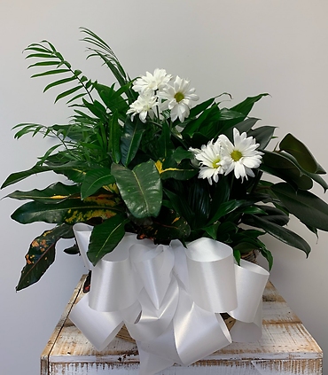 Planter Basket* $90.95
