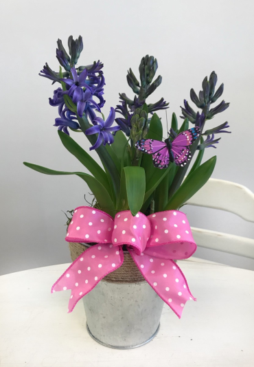 Bulb Basket - $27.50