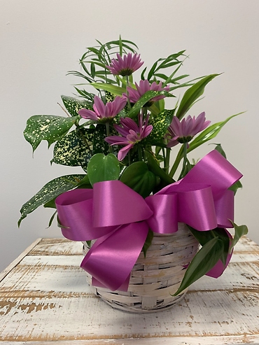 Planter Basket* $25.95