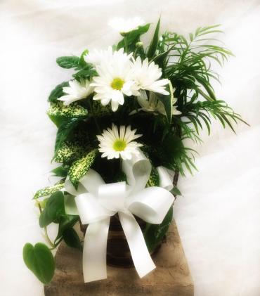 Planter Basket* ($25)