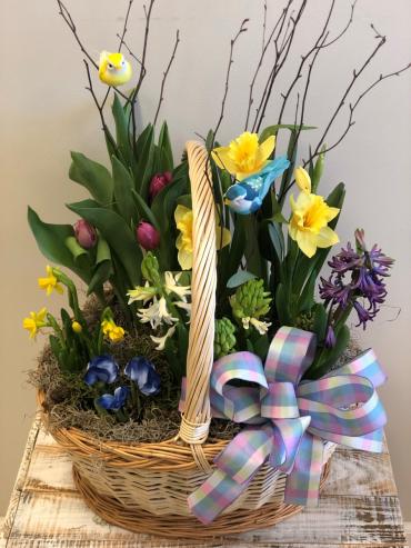 Dutch Bulb Garden* - $125