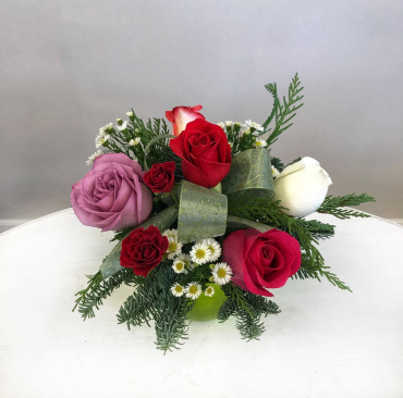Winter Rose