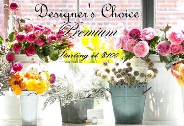 Designer\'s Choice - Premium*