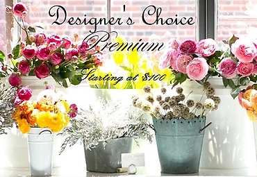 Designer\'s Choice - Premium*