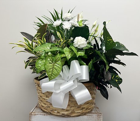 Planter Basket $150.95
