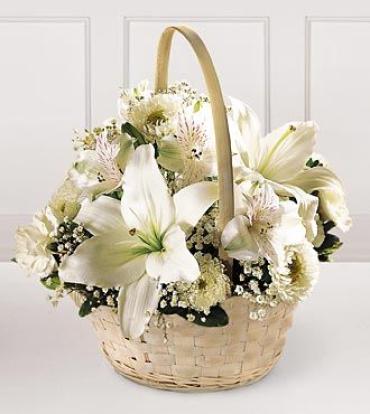 Divinity Basket