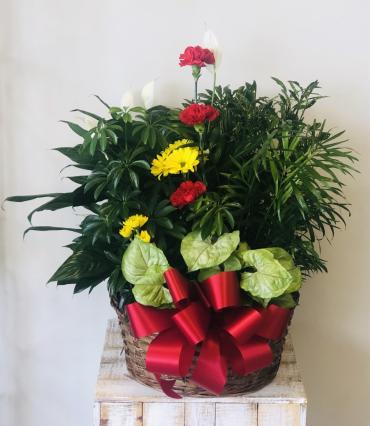 Planter Basket* ($105)
