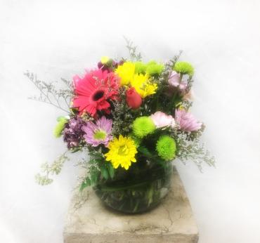 Garden Bubble*