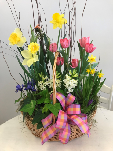 Bulb Basket - $120