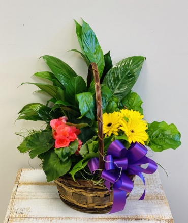 Blooming Basket Small