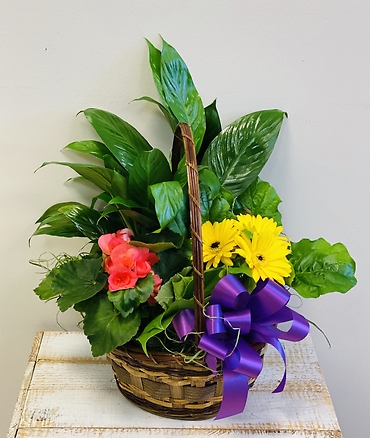 Blooming Basket Small
