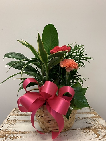 Planter Basket* $35.95