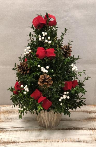 *O\' Christmas Tree*