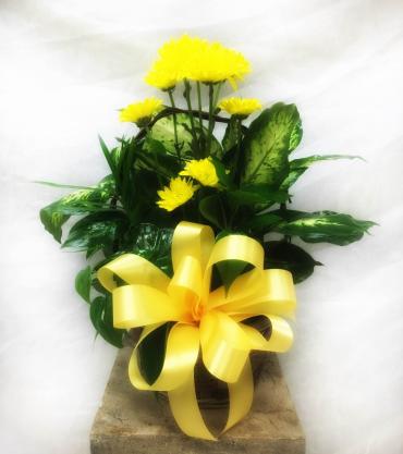 Planter Basket* ($35)