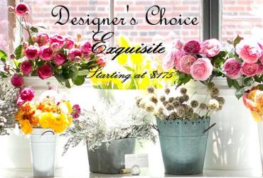 Designer\'s Choice - Exquisite*