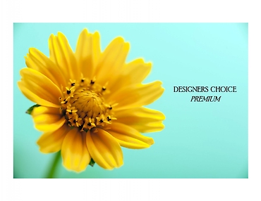 Designer\'s Choice - Premium