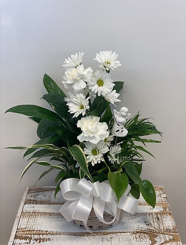 Peaceful Planter - SMALL*
