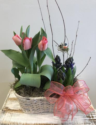 Bulb Garden* - $55