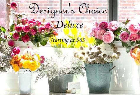 Designer\'s Choice - Deluxe*