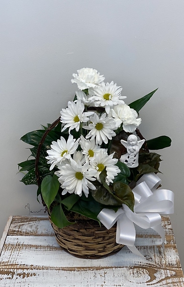 Peaceful Planter - MEDIUM*