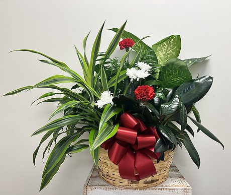 Planter Basket $120.95