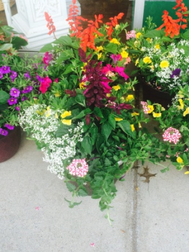 Patio Pots