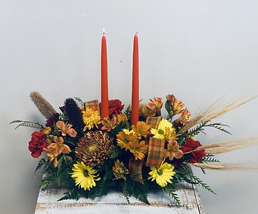 *Harvest Glimmer*