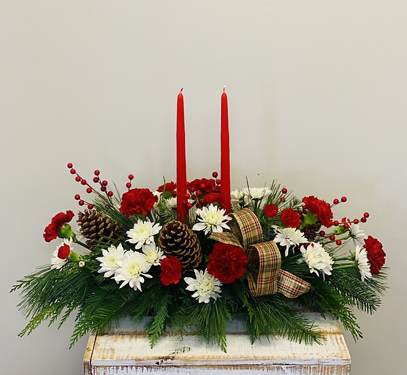 Holiday Lights - Large