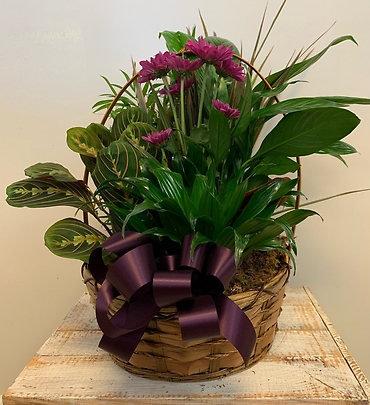 Planter Basket $65.95