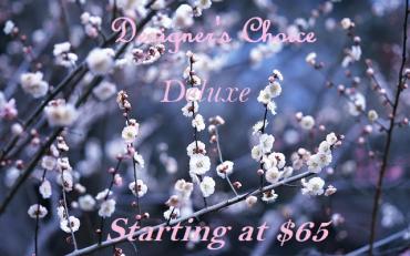 Designer\'s Choice - Winter - Deluxe