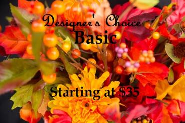 Designer\'s Choice - Fall*
