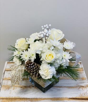 *Winter Garden*