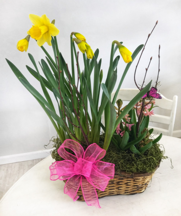 Bulb Basket - $50