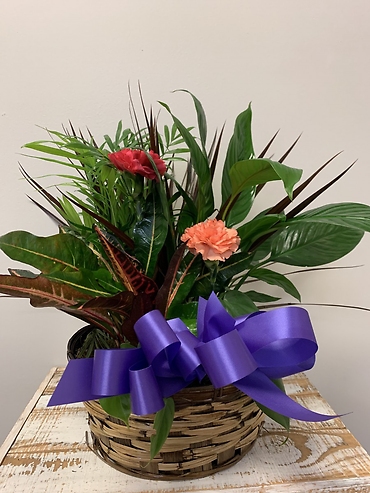 Planter Basket $55.95