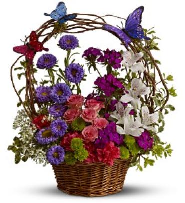Butterfly Garden