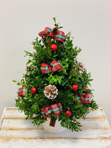 *O\' Christmas Tree*