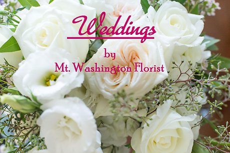 Wedding Gallery