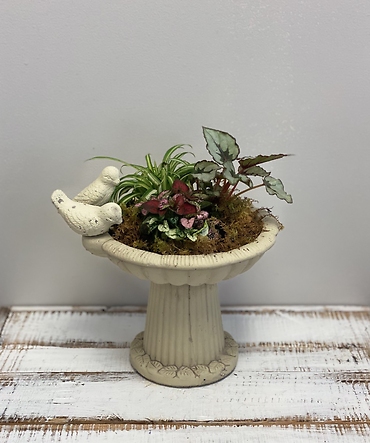 Birdbath Planter