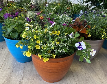 Patio Pots