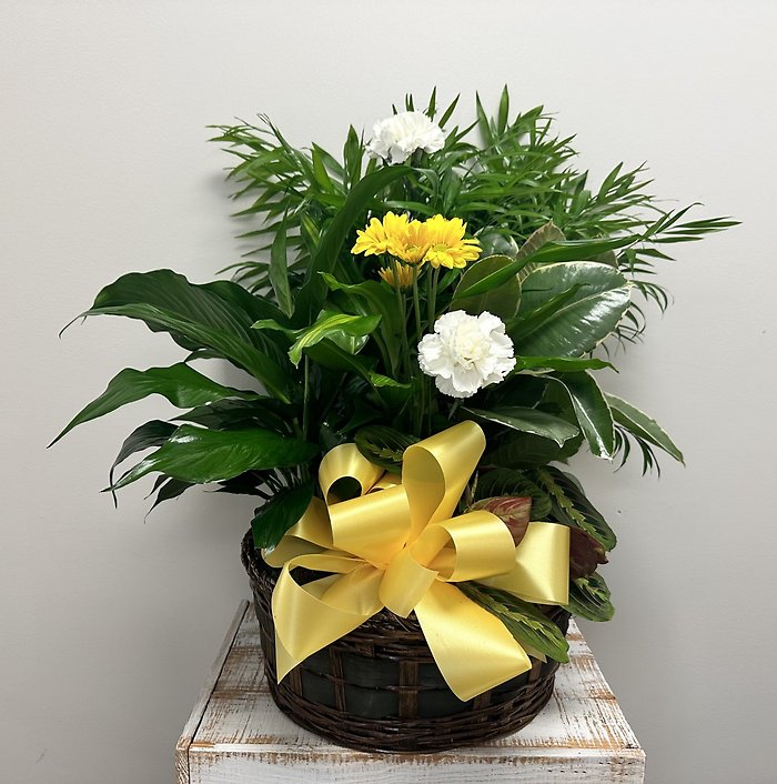 Planter Basket $105.95