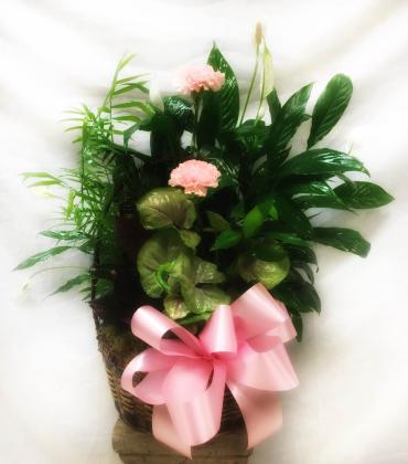 Planter Basket* ($75)