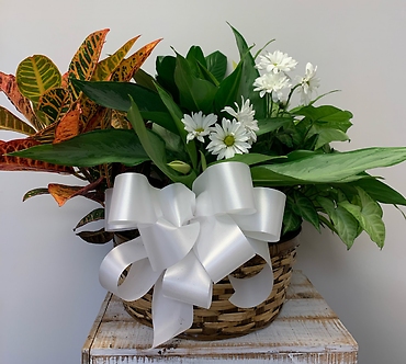 Planter Basket $150.95