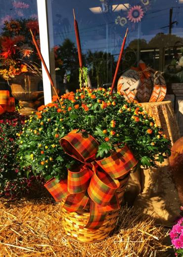 Fall Mum Basket