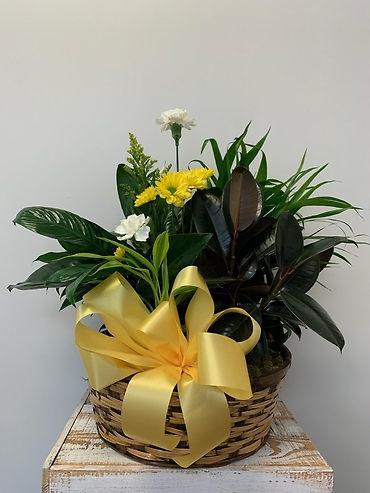 Planter Basket $105.95