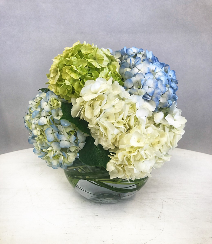 Hydrangea Bowl